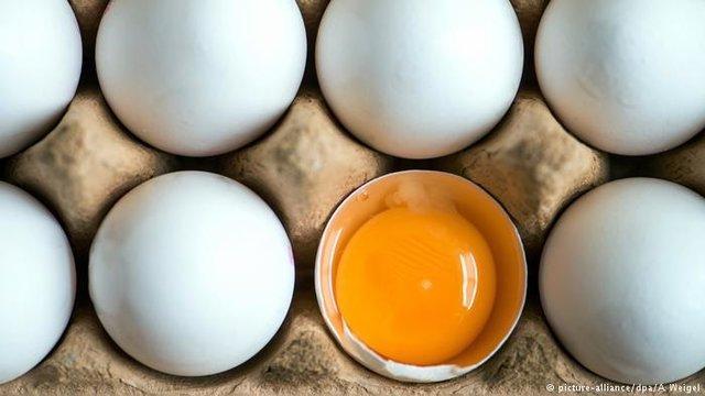 تخم مرغ بسته بندی شانه ای ۳۱ هزار تومان
