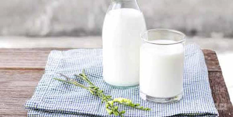  شیر پاستوریزه بهتر است یا استرلیزه؟