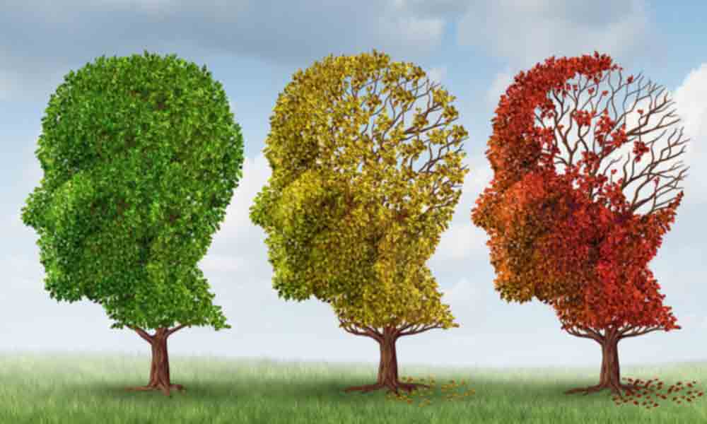 هر ۷ دقیقه یک ایرانی آلزایمر می‌گیرد
