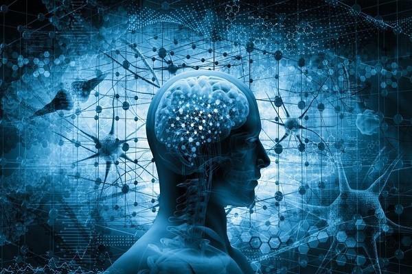 چگونه از مرگ تدریجی سلول‌های مغز پیشگیری کنیم؟
