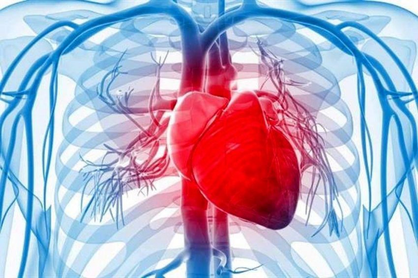 چرا خطر مرگ بیماران دیابتی و قلبی بر اثر ابتلا به کرونا بیشتر است؟