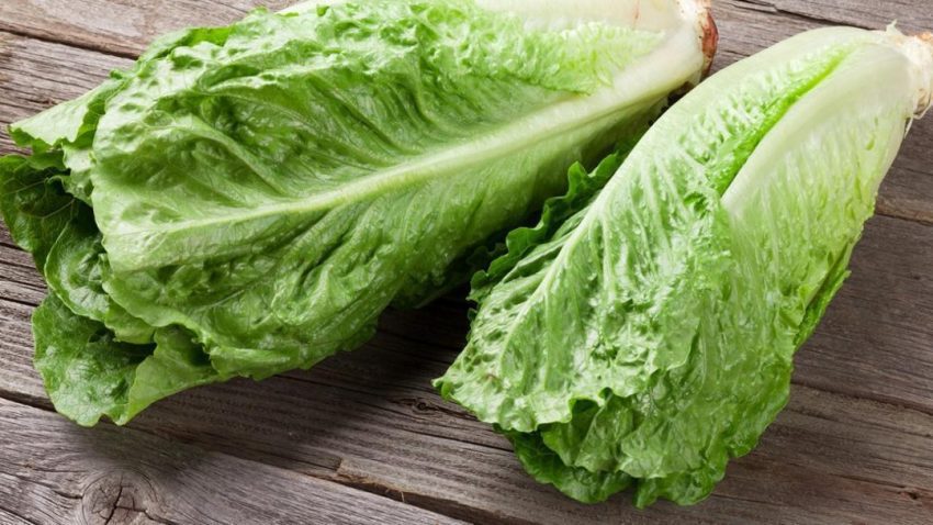 فواید جادویی کاهو برای بیماران دیابتی