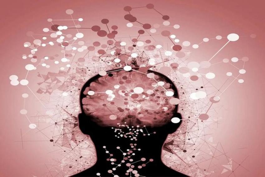 آیا چاقی سبب زوال عقل میشود؟