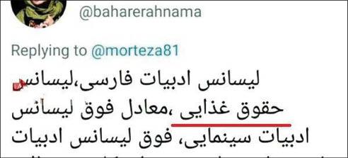 ntEg2Qa8XWTn