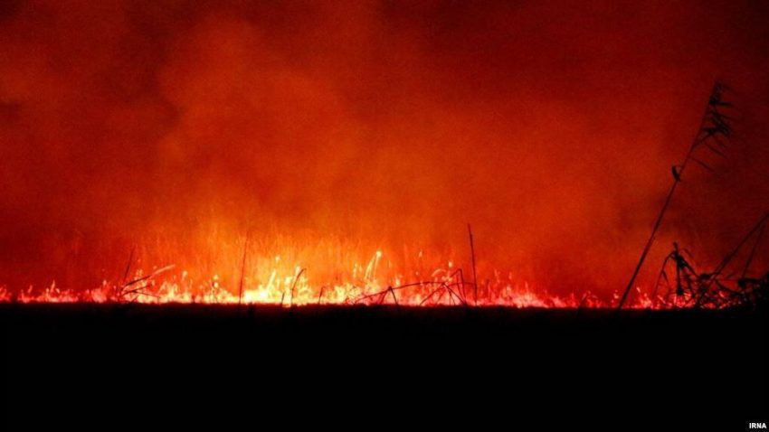 دستگیری عاملان آتش‌سوزی بوستان ولایت