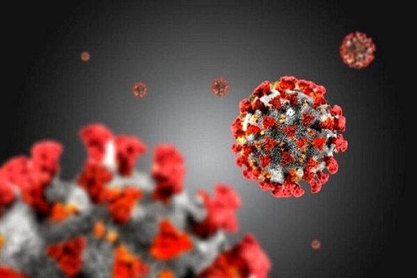 واکسن آنفولانزا هیچ تاثیری در پیشگیری از کرونا ندارد