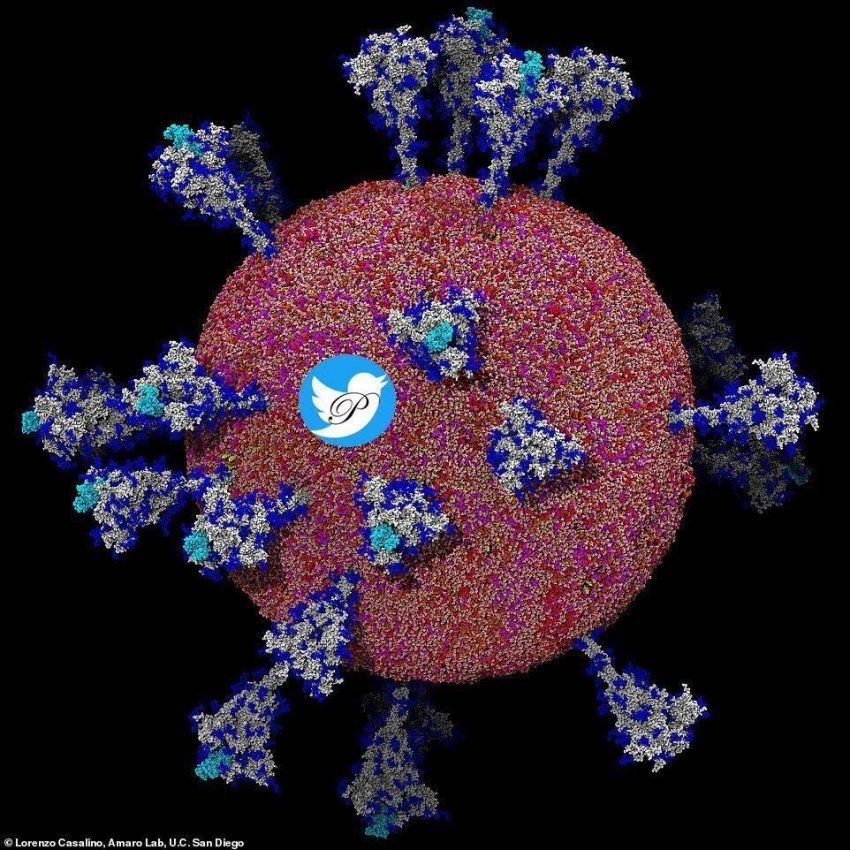 اولین تصویر با وضوح بالا از ویروس کرونا|خبر فوری