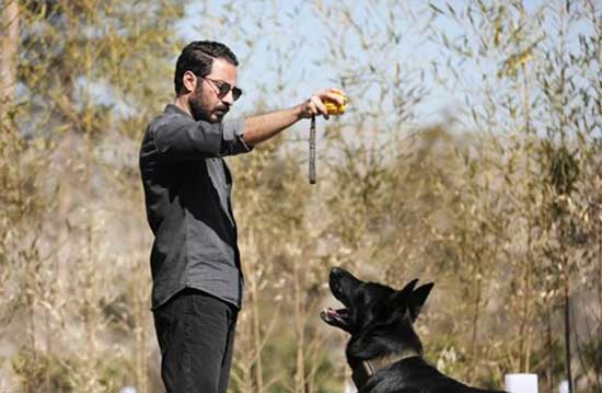 قورباغه؛ زشت، بدترکیب و البته خفننما!|خبر فوری قورباغه؛ زشت، بدترکیب و البته خفننما!|خبر فوری