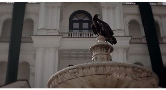 حیوانات وحشی در سریال‌های مدیری چه می‌کنند؟|خبر فوری