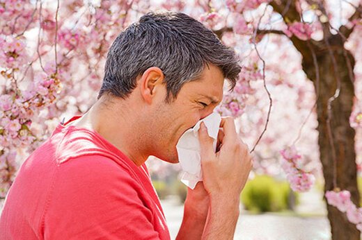 استفاده روزانه از اسپری بینی خطرناک است|خبر فوری استفاده روزانه از اسپری بینی خطرناک است|خبر فوری