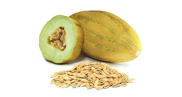 تاثیر عصاره دانه خربزه در از بین بردن سنگ کلیه|خبر فوری تاثیر عصاره دانه خربزه در از بین بردن سنگ کلیه|خبر فوری