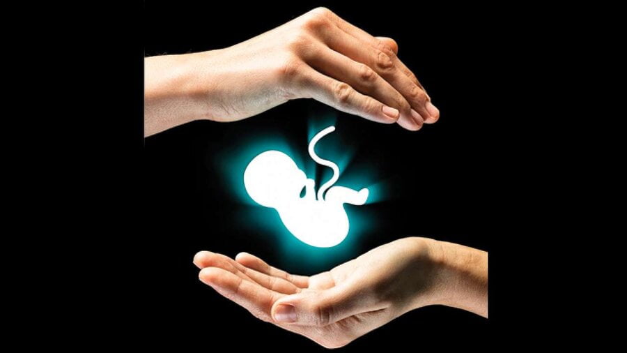 سالانه ۱۲ هزار درخواست سقط به پزشکی قانونی ارسال میشود|خبر فوری سالانه ۱۲ هزار درخواست سقط به پزشکی قانونی ارسال میشود|خبر فوری