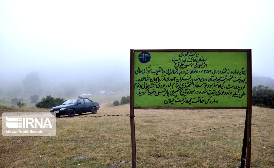 تصاویری زیبا از شکوفایی نادرترین گل جهان در داماش گیلان|خبر فوری تصاویری زیبا از شکوفایی نادرترین گل جهان در داماش گیلان|خبر فوری