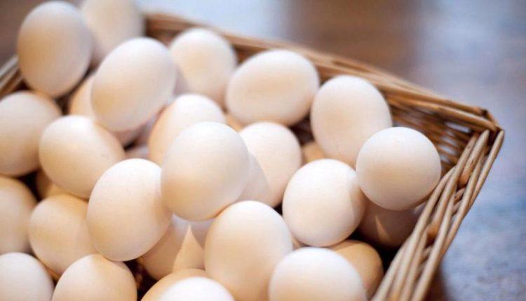 تخم مرغ رسما گران شد