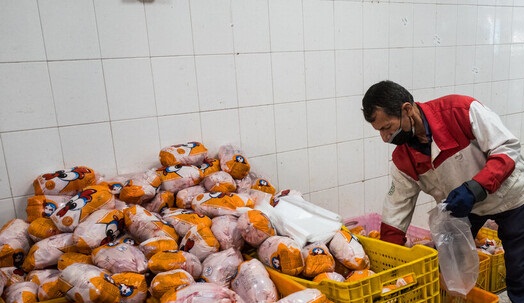 مرغ ارزان می شود؟