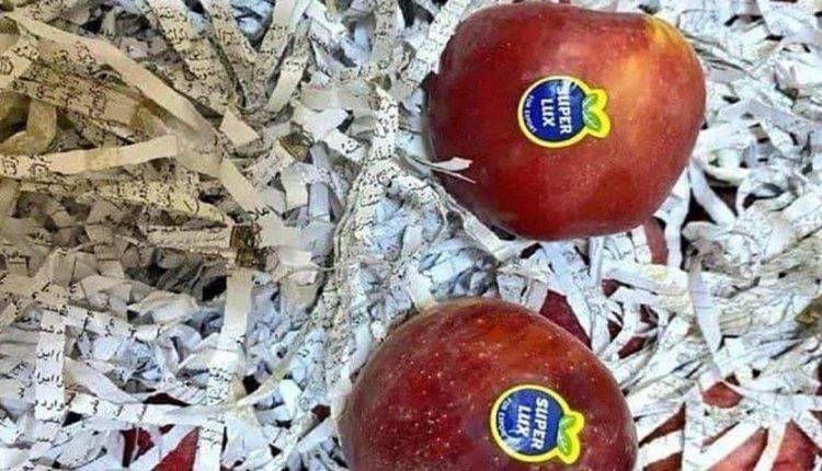 هتک حرمت به قرآن در بین میوه های صادراتی! هتک حرمت به قرآن در بین میوه های صادراتی!