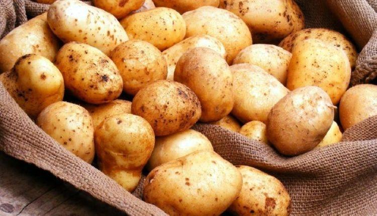 قیمت سیب زمینی در یک سال ۲.۵ برابر شد! قیمت سیب زمینی در یک سال ۲.۵ برابر شد!