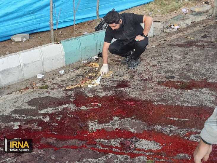 کرمان کرمان