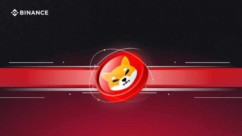 Why Is Shiba Inu Coin (SHIB) Going Up? | Binance Blog