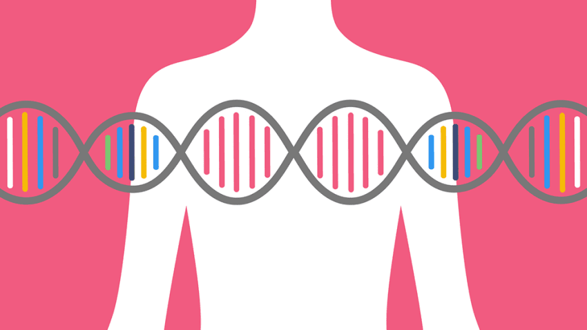 آزمایش ژنتیک سرطان سینه با بهترین قیمت و کمترین زمان آماده سازی