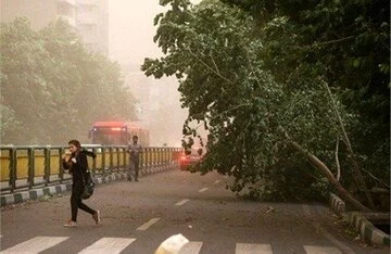هشدار هواشناسی تهران؛ وزش باد شدید و گرد و خاک در راه است