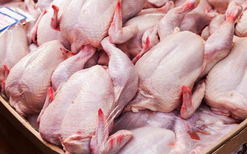 عرضه نکردن مرغ مشمول ۷۰ درصد جریمه دارد