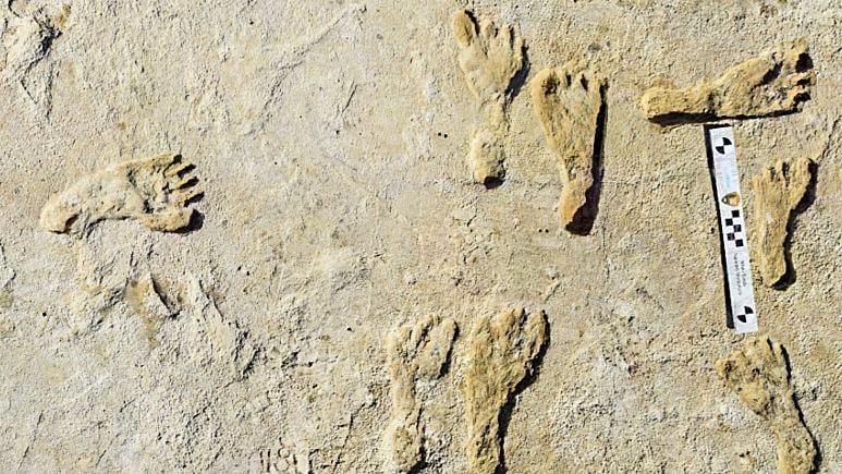 کشف قدیمی‌ ترین ردپای انسان در آمریکا متعلق به ۲۳ هزار سال پیش