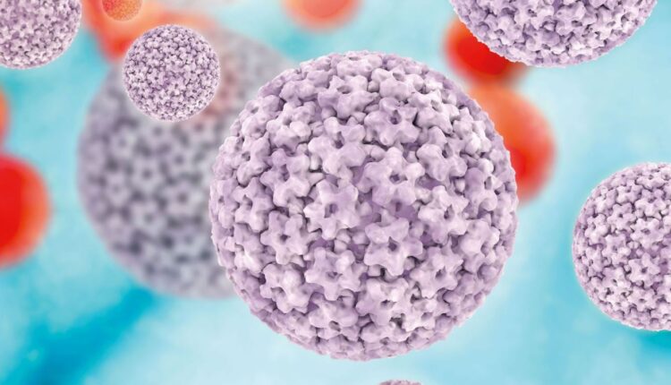 رابطه پاپیلوما ویروس HPV با سرطان‌ها