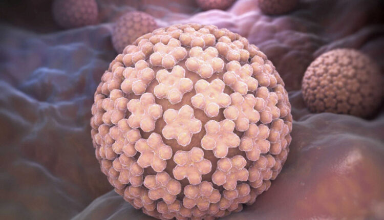 رابطه پاپیلوما ویروس HPV با سرطان‌ها